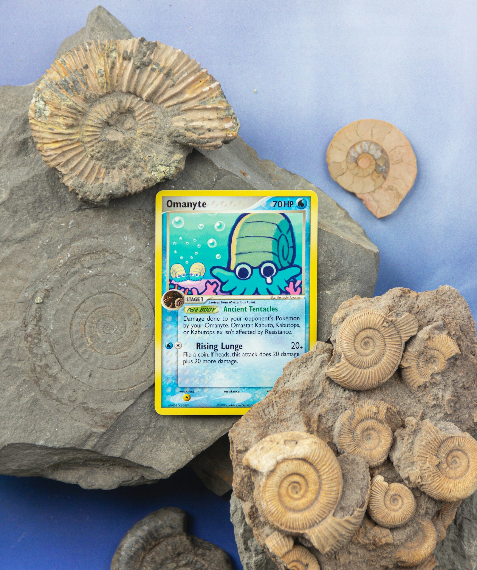 Pokemon card spreadsheet vs app: which collection tracker fits your workflow?